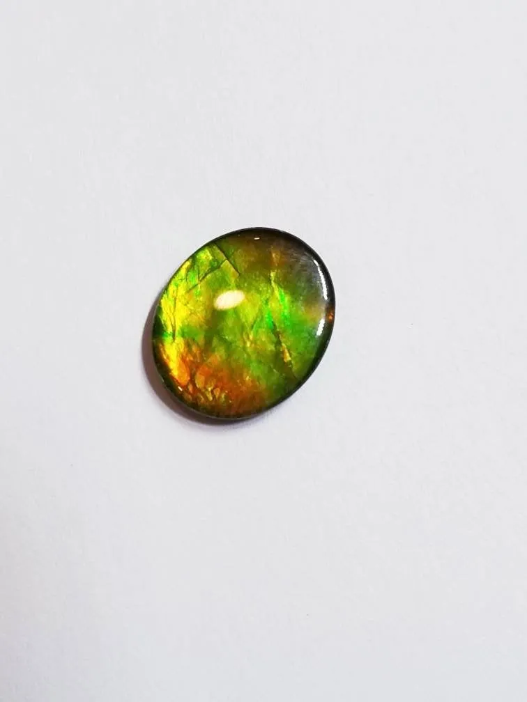 Ammolite calibrated triplet 13x11mm cabochon 1pc (x19)