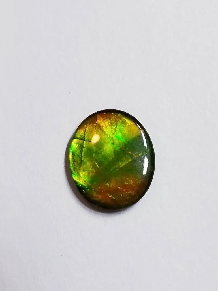 Ammolite calibrated triplet 13x11mm cabochon 1pc (x19)