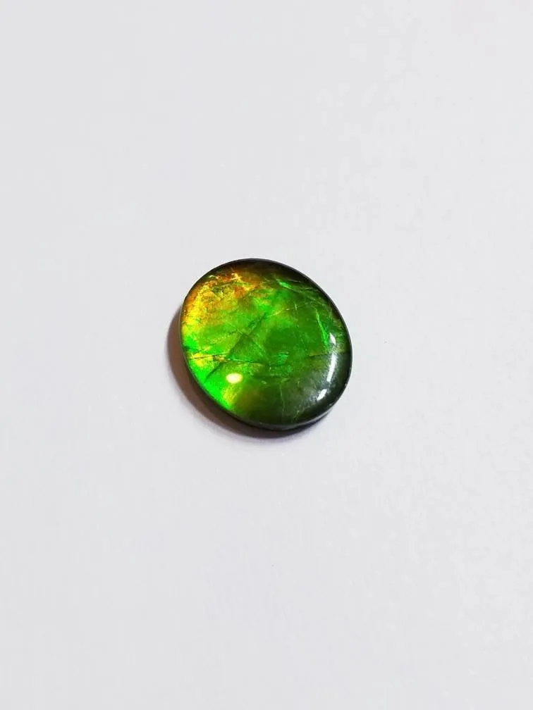 Ammolite calibrated triplet 13x11mm cabochon 1pc (x19)