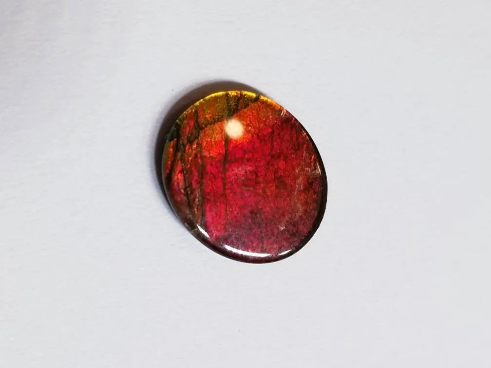 Ammolite calibrated triplet 13x11mm cabochon 1pc