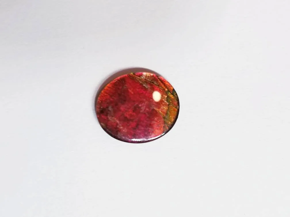 Ammolite calibrated triplet 13x11mm cabochon 1pc