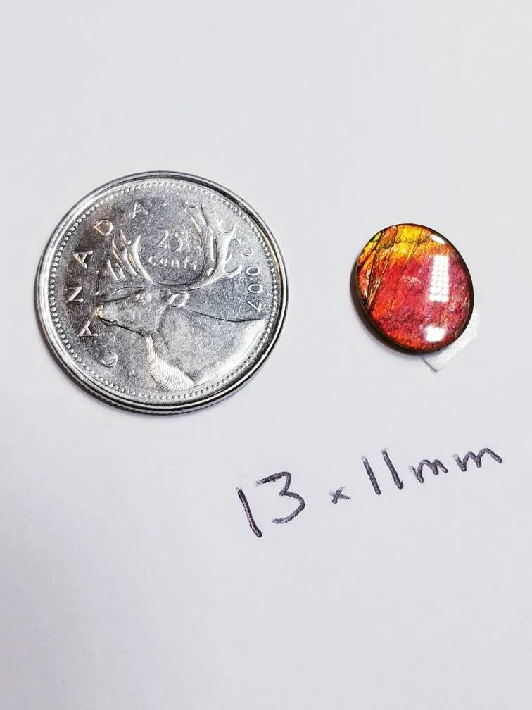Ammolite calibrated triplet 13x11mm cabochon 1pc