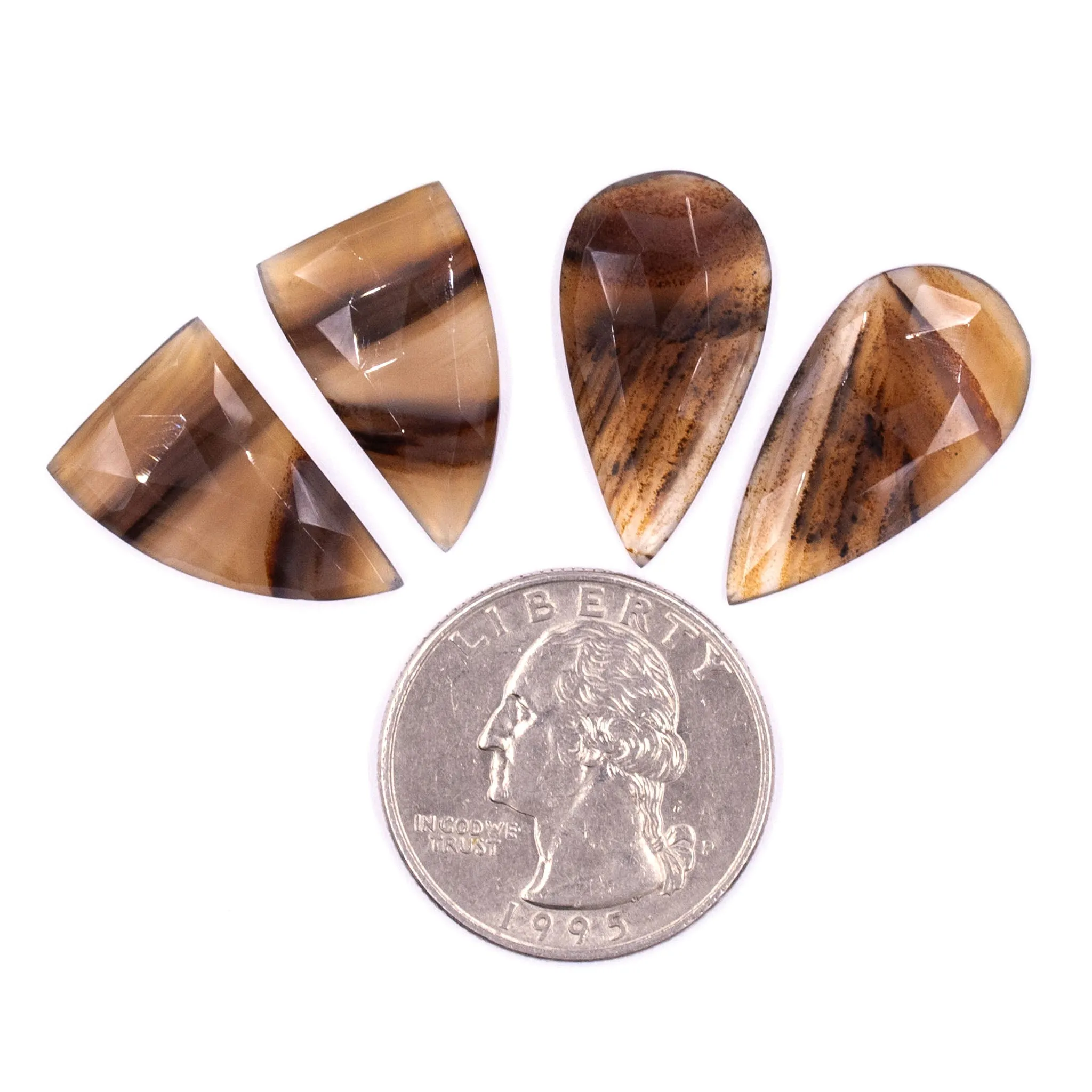 Montana Agate Rosecuts