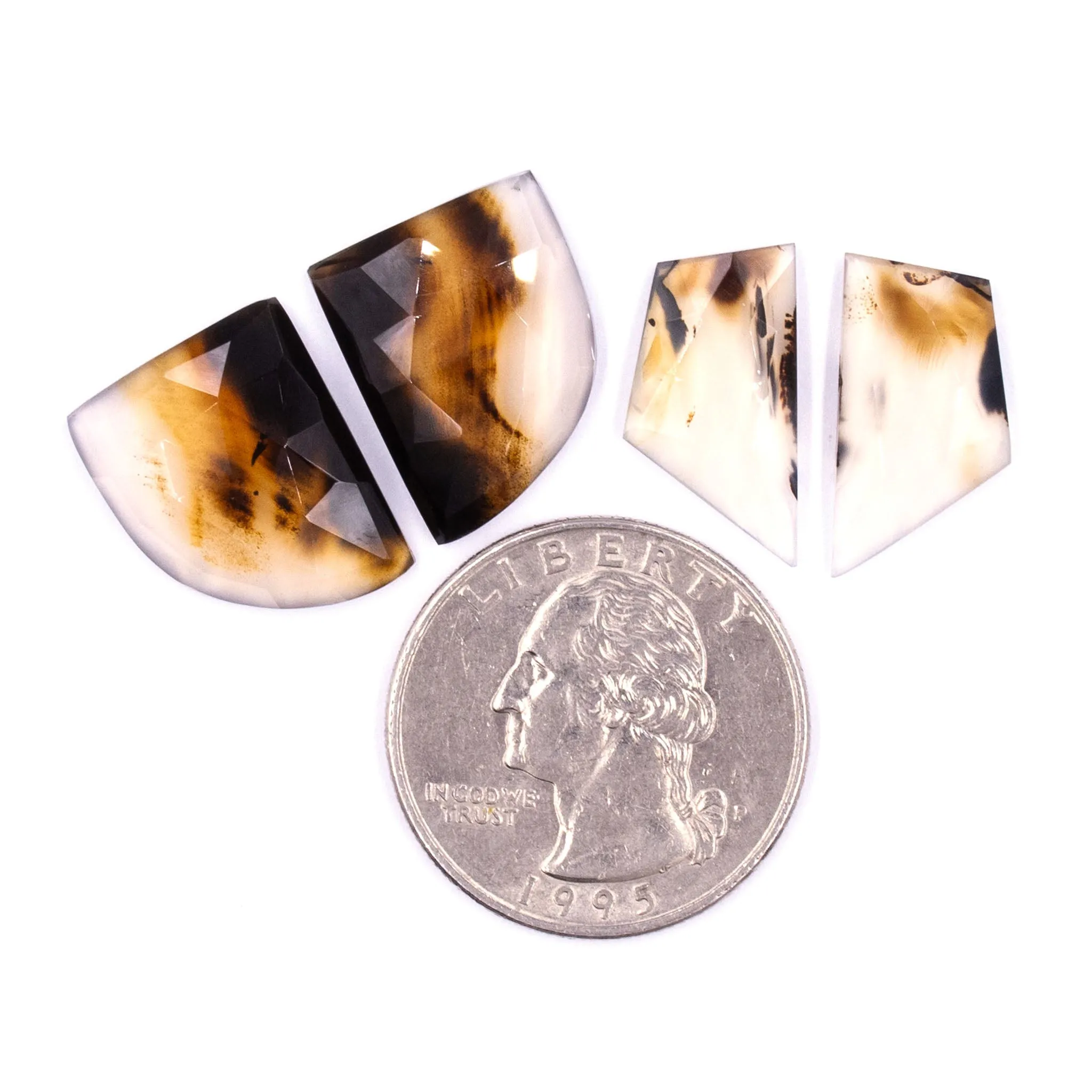 Montana Agate Rosecuts