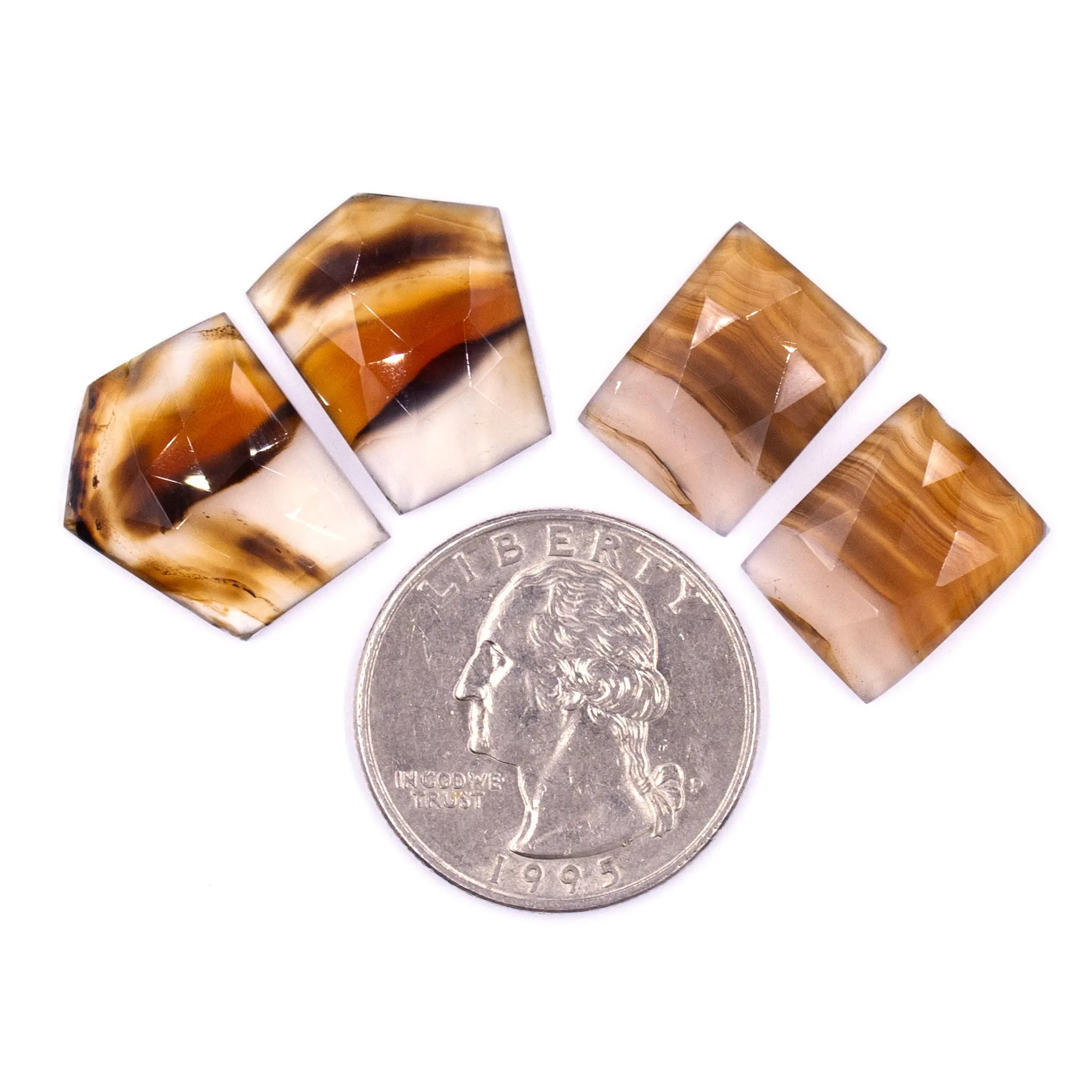 Montana Agate Rosecuts