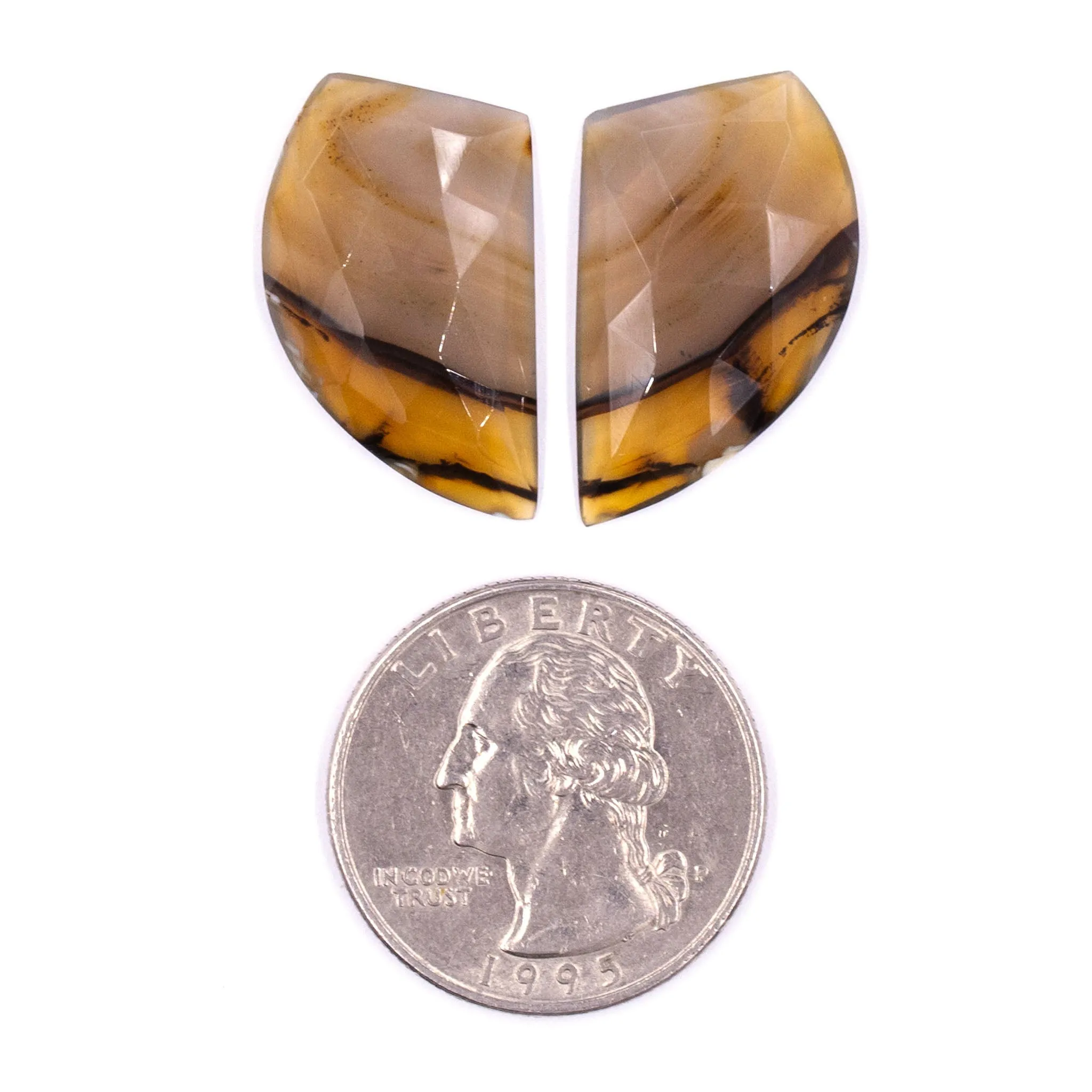 Montana Agate Rosecuts