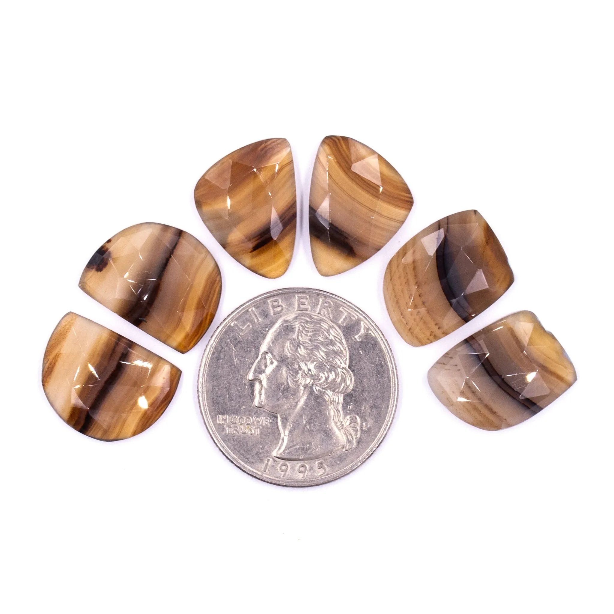 Montana Agate Rosecuts