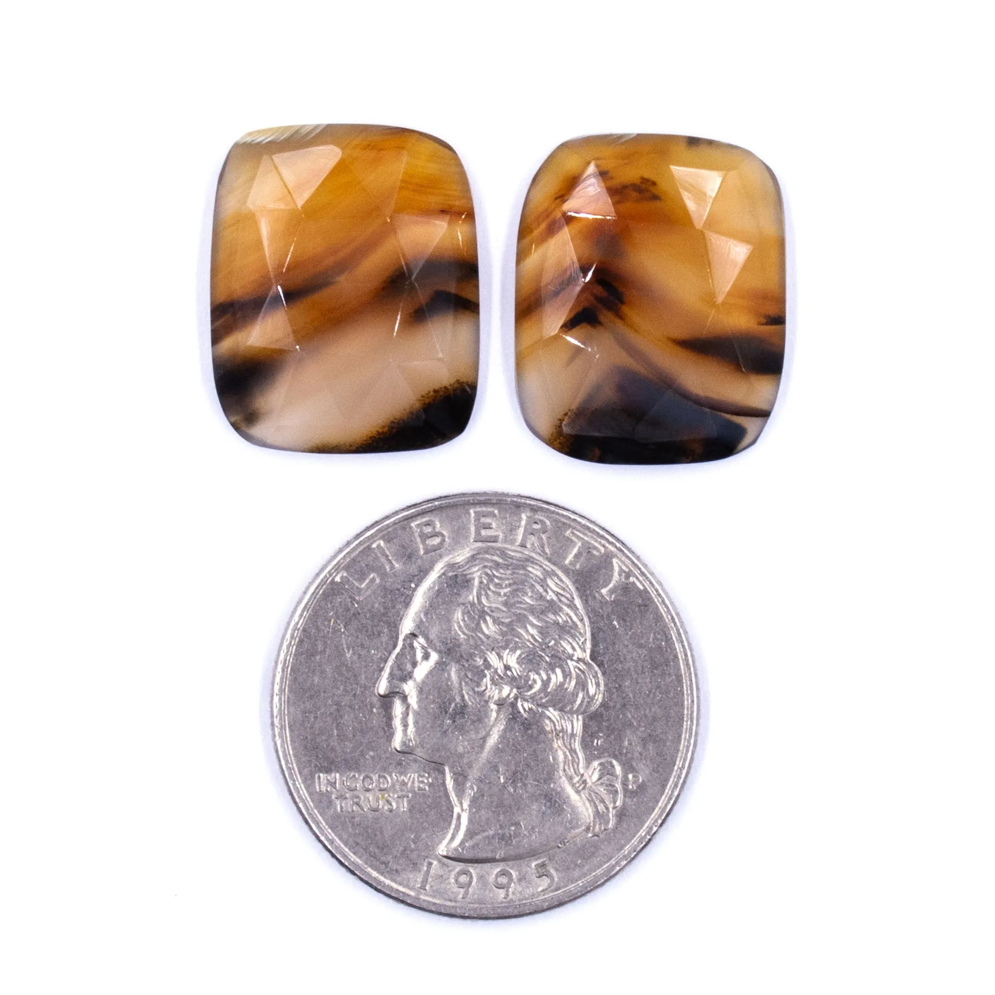 Montana Agate Rosecuts