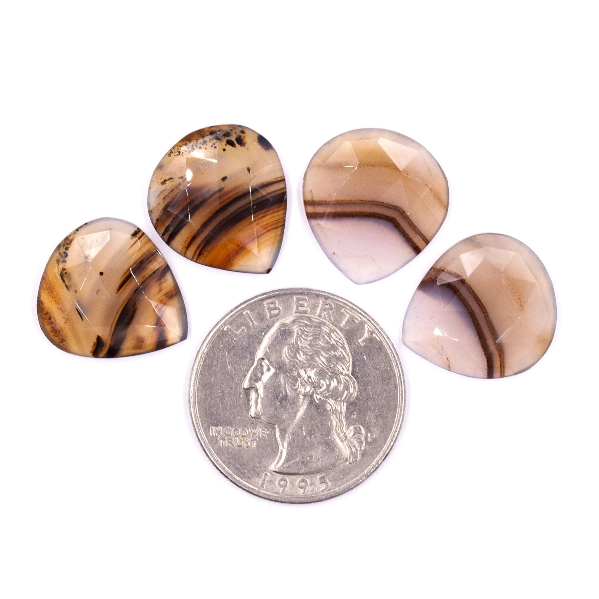 Montana Agate Rosecuts