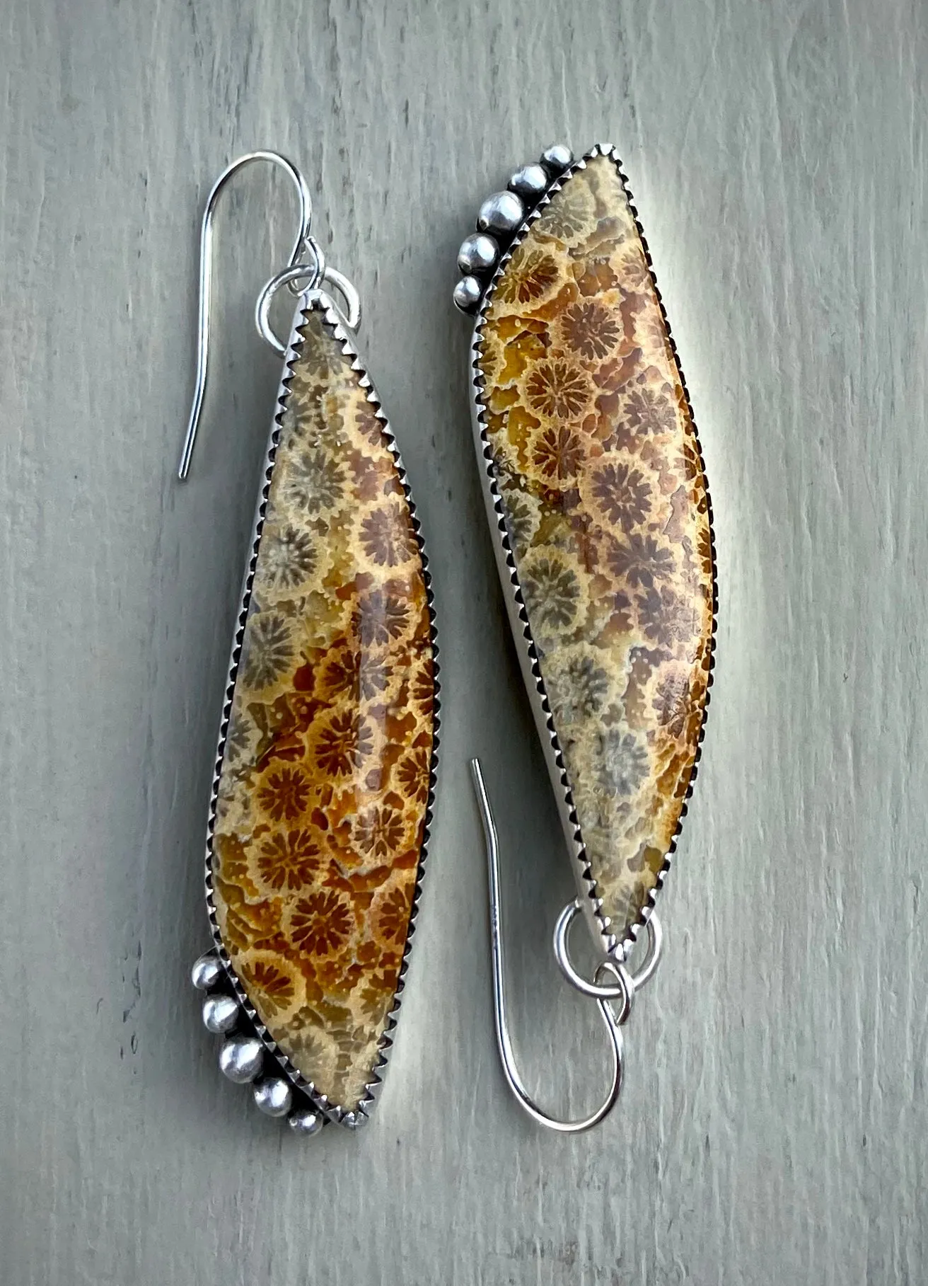 •Sunflower• Fossil Coral Earrings
